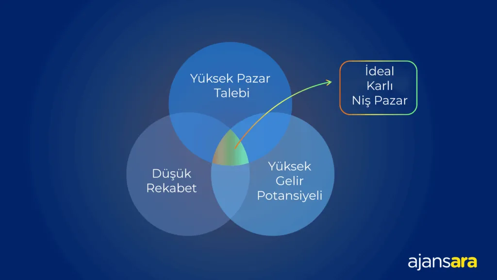 Karlı niş pazar ajansara